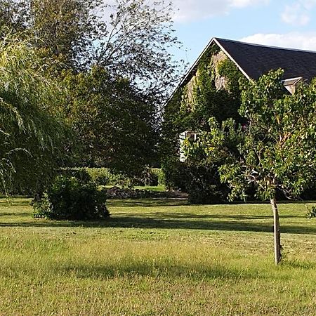 Gite Le Campagnard Saint-Germain-Des-Bois (Cher) Exterior foto